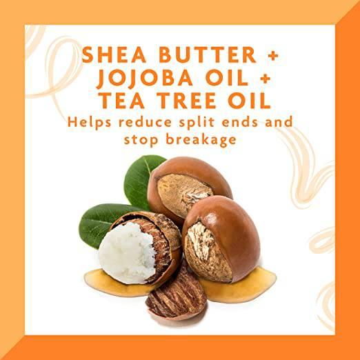 Cantu Shea Butter Tea Tree & Jojoba Hair & Scalp Oil, 6oz (180ml) - African Beauty Online