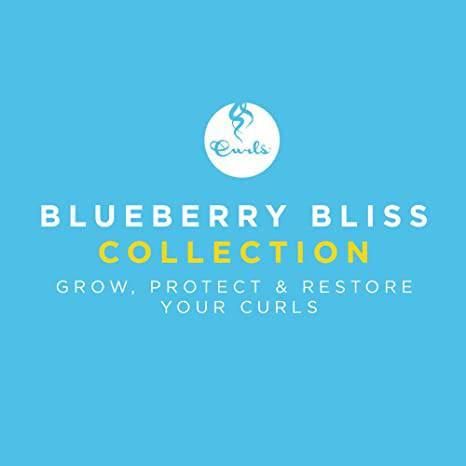 Curls Blueberry Bliss Twist-N-Shout Cream 8oz - African Beauty Online