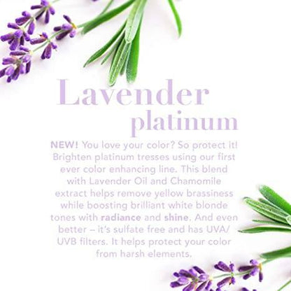 OGX Lavender Platinum Penetrating Oil 3.3OZ - African Beauty Online