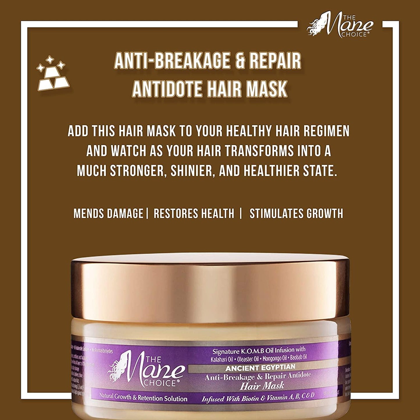 The Mane Choice Ancient Egyptian Anti-Breakage & Repair Antidote Hair Mask (8 Oz) - African Beauty Online